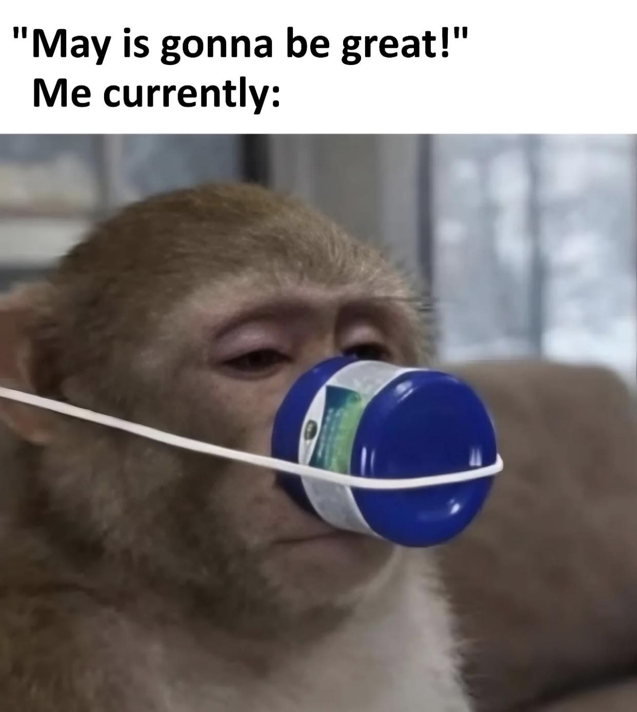 20 Memes That Slammed Randomness Into a Blender 11 may is gona be great
