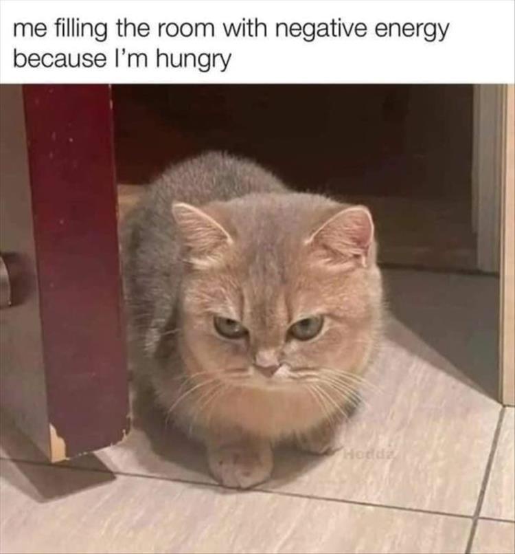 20 Memes That Feel Like Getting Picked Up by a Tornado of Stupidity 14 me filling the room