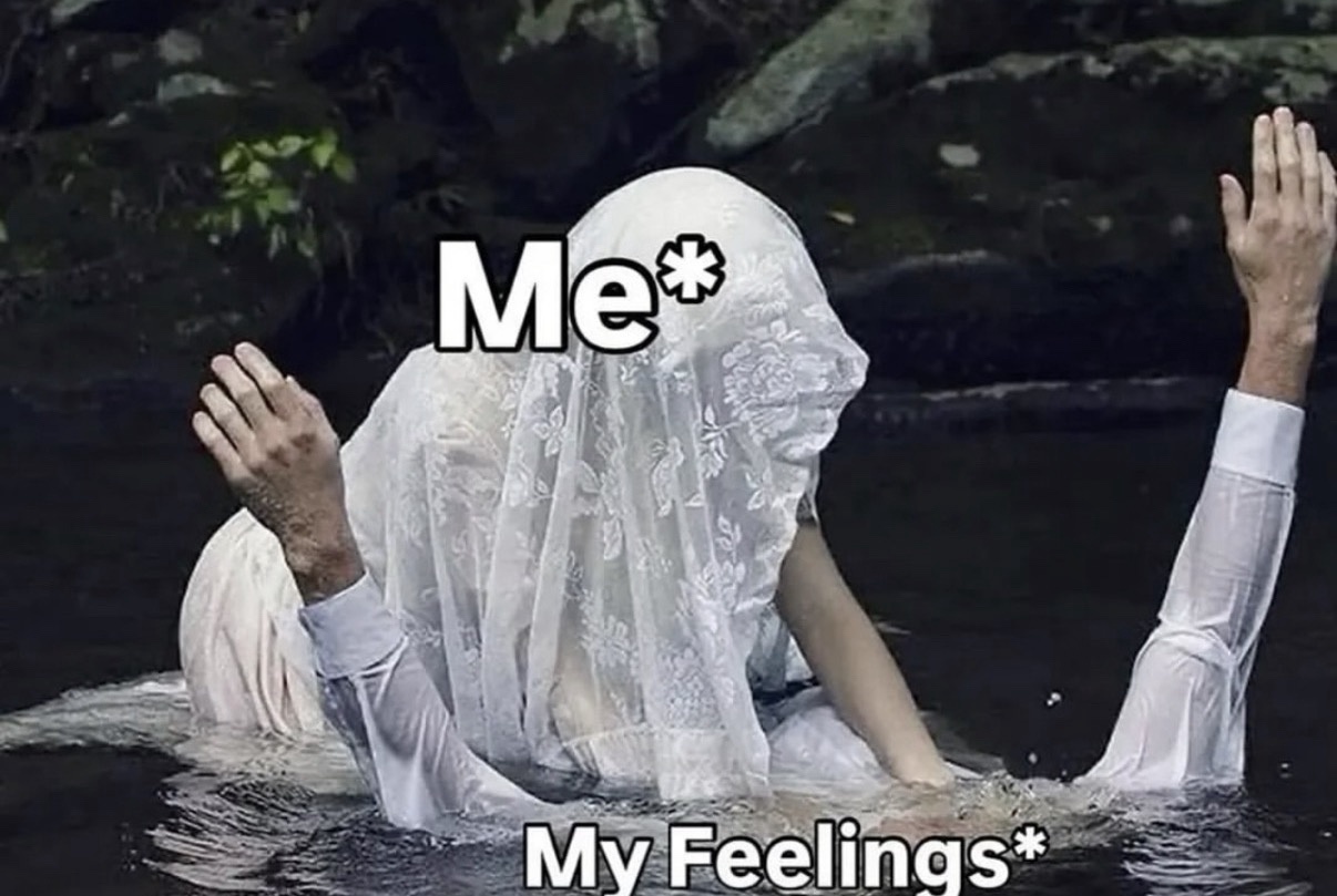 20 Women Memes That Feel Like Hormones Driving a Go-Kart 15 my feelings