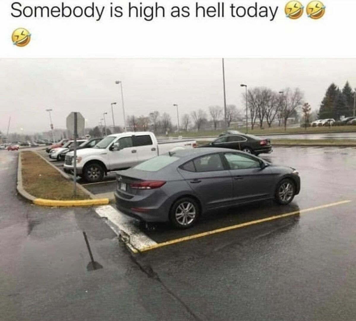 20 Memes That Slammed Randomness Into a Blender 12 omebody is high