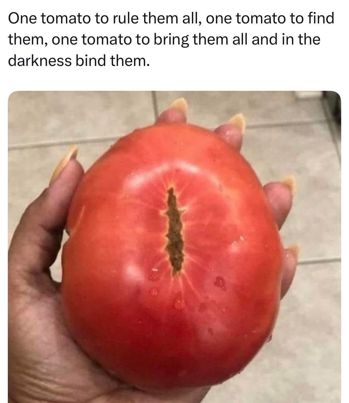45 LOTR Memes That Will Make You Giggle Like Gollum with the Precious 46 one tomato will rule
