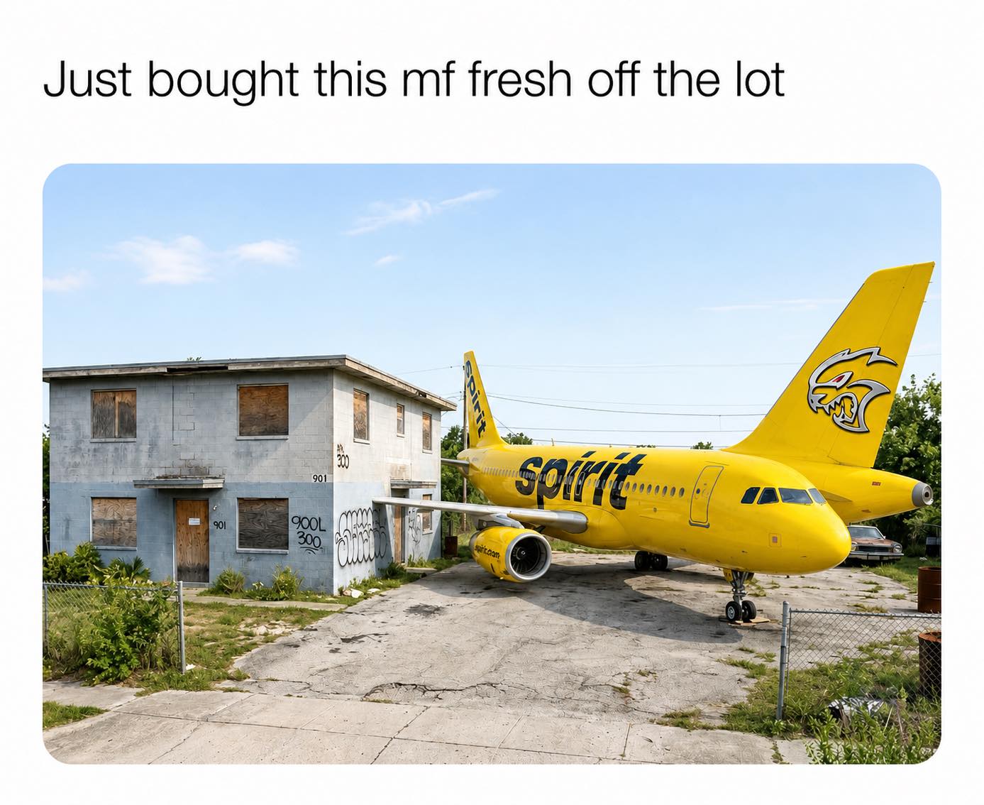 20 Memes That Slammed Randomness Into a Blender 16 ust brought this