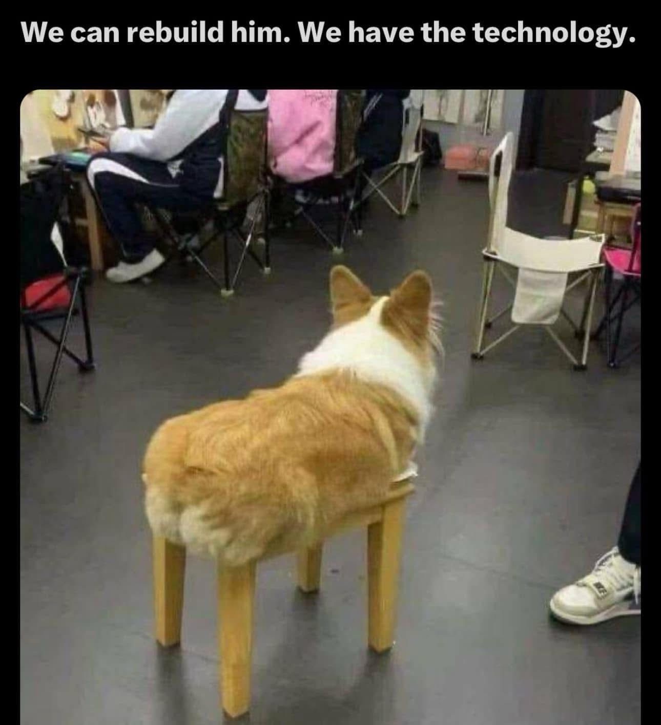 20 Memes That Keep Changing the Radio Station in Your Brain 19 we can rebuild him