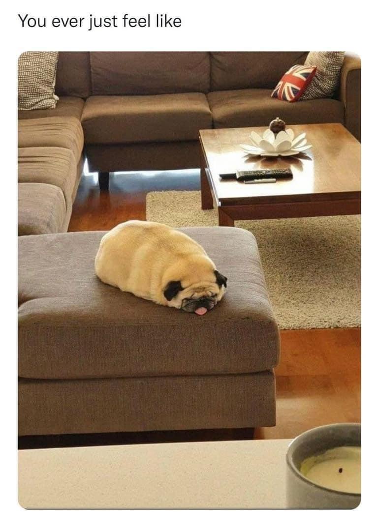 20 Memes That Feel Like Getting Picked Up by a Tornado of Stupidity 22 you ever just feel like