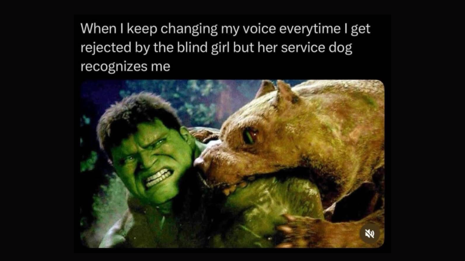 20 Memes That Arrived Riding an Invisible Horse FG