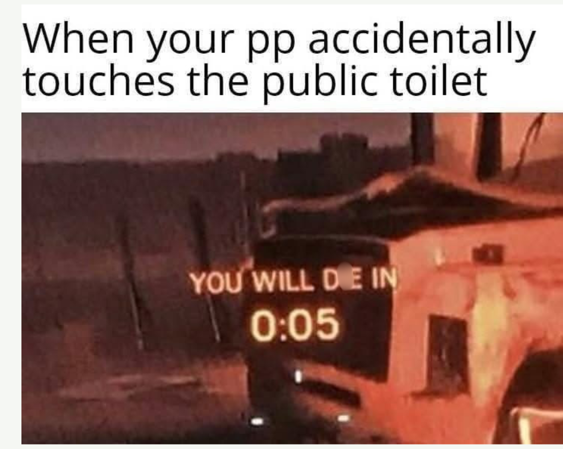 25 Memes That Are Naughty, Nonsense, and Absolutely Necessary 3 Accidentally touches the public toilte