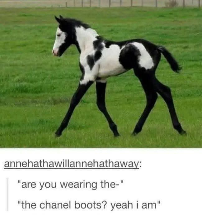 Are you wearing