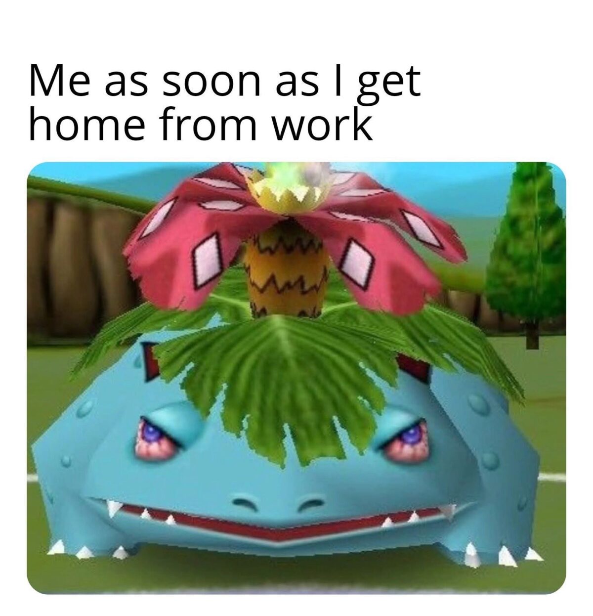 20 Memes for People Who Keep Saying "It Is What It Is" 5 As soon as I get home