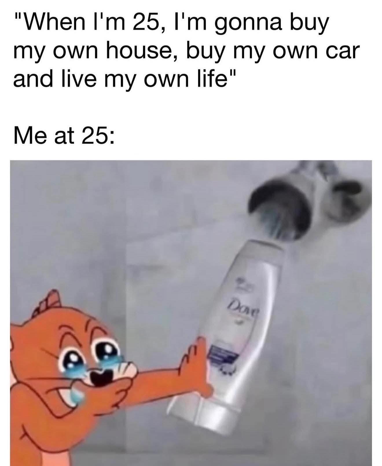 20 Memes That Feel Like Getting Audited by Reality 3 Buy my own house