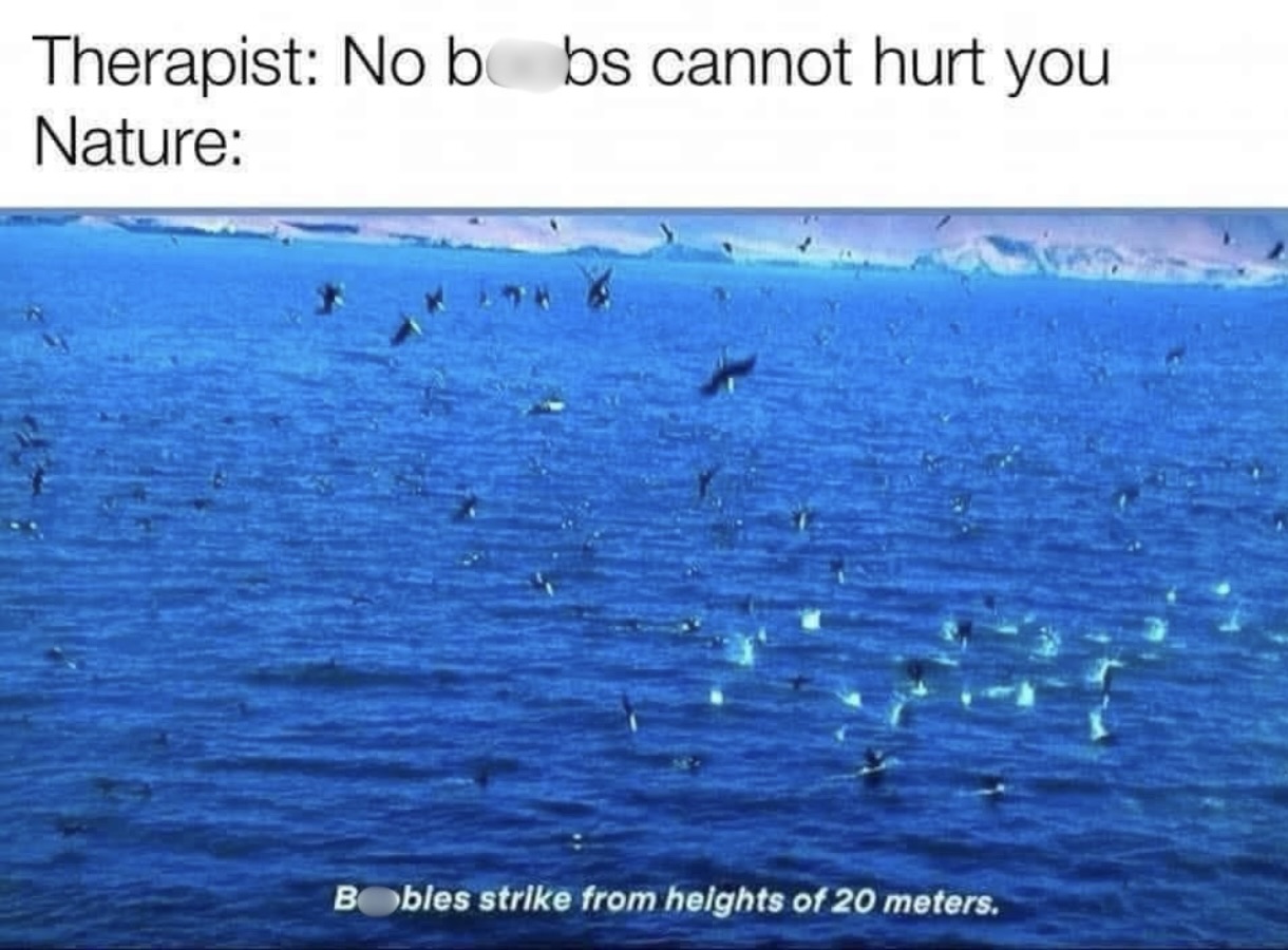 20 Memes That Have Never Heard the Word "Appropriate" 12 Cannot hurn nature