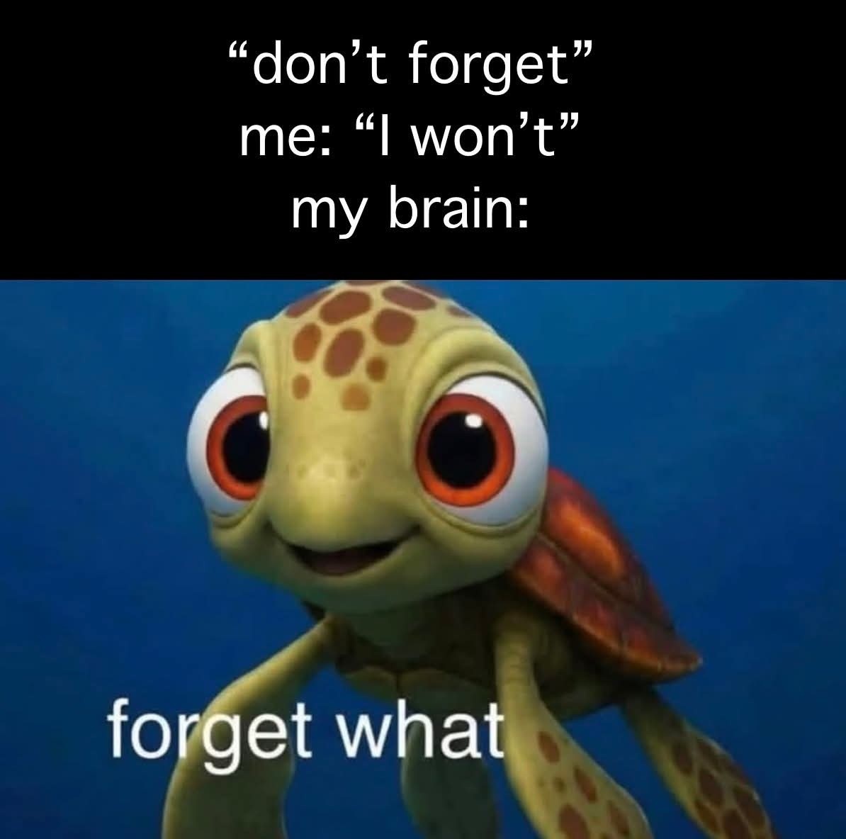 20 Memes That Feel Like Getting Audited by Reality 4 Dont foget