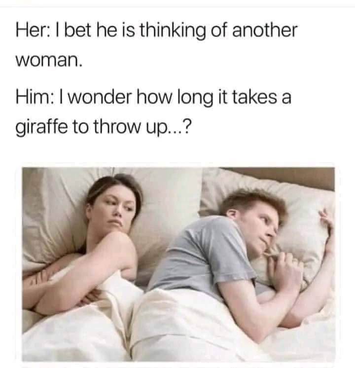 20 Memes That Were Dropped from a Helicopter into Your Brain 4 How long does it take