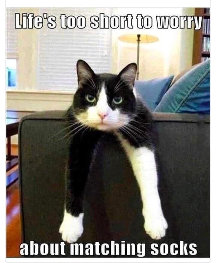 20 Memes That Feel Like Getting Audited by Reality 8 Lifes too short
