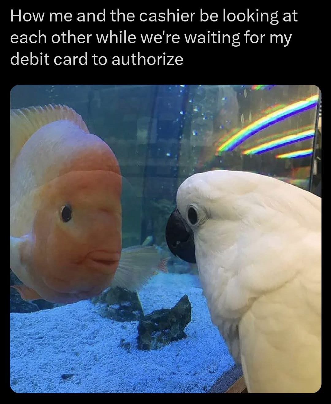 20 Memes for People Who Keep Saying "It Is What It Is" 11 Me and the cashier