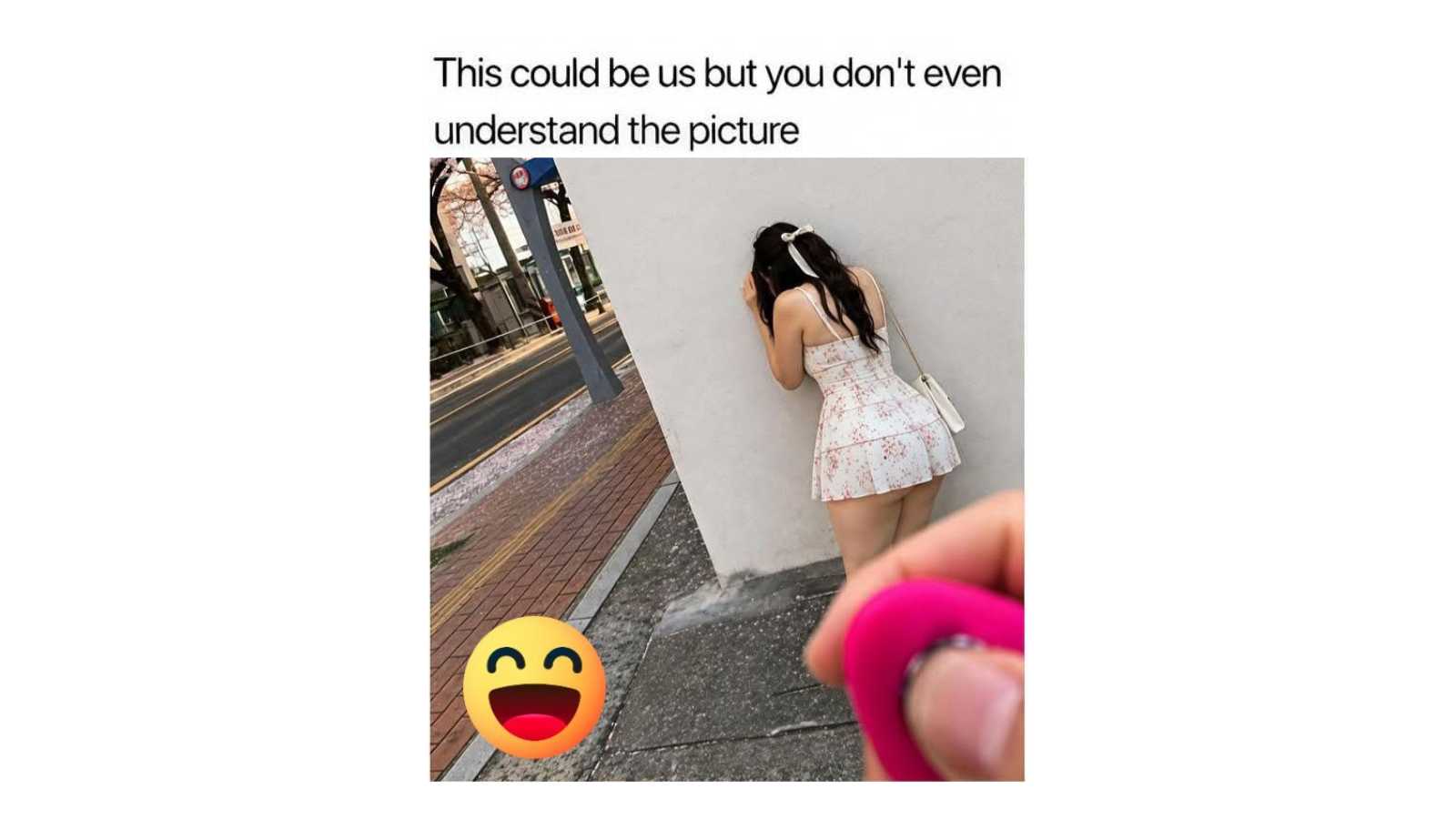 Memes That Are Hornier Than the Plot Required FG
