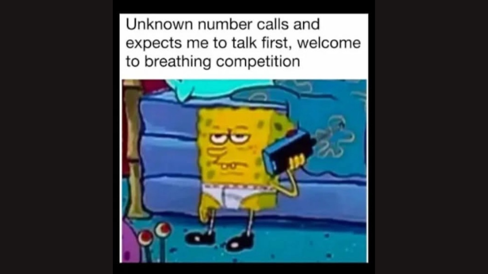 Memes That Forgot Whether They Were Supposed to Be Smart or Stupid FG