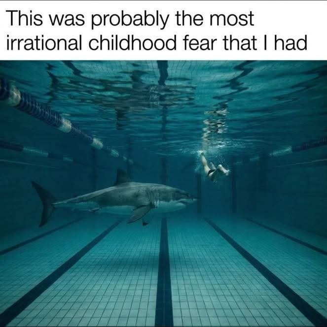 20 Memes That Feel Like Getting Audited by Reality 10 Most irrational childhood fear