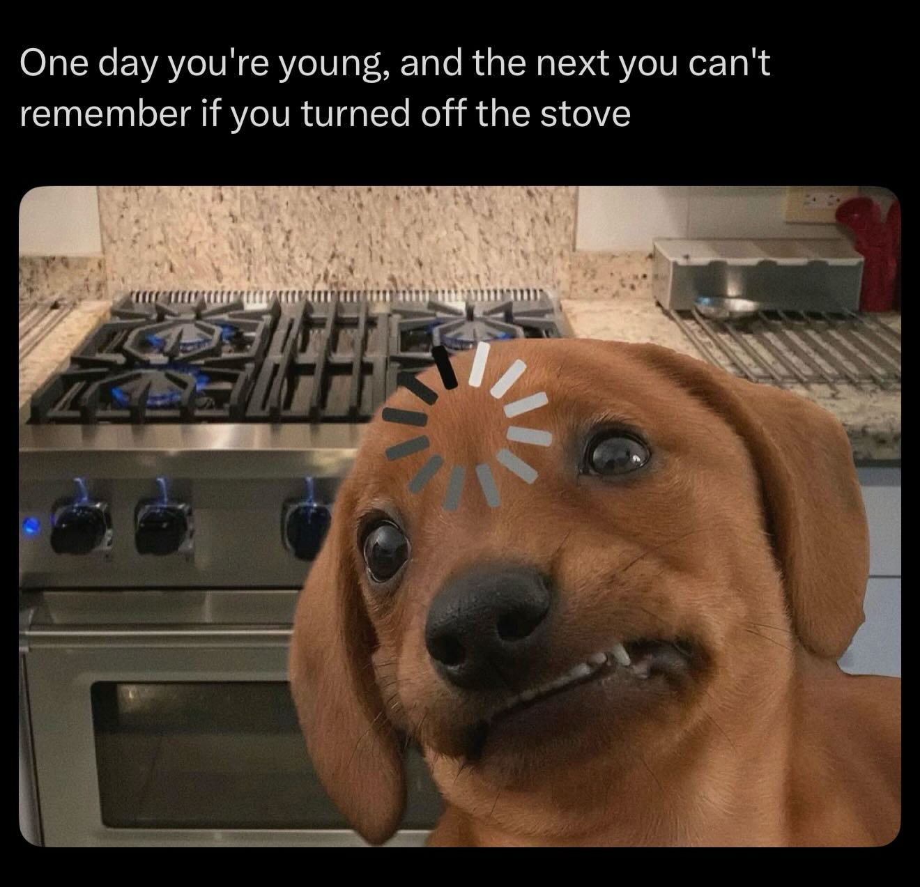 20 Memes That Will Judge You Silently While You Laugh 17 One day youre young