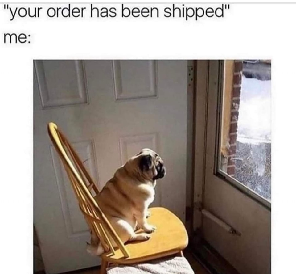 20 Memes That Feel Like Getting Audited by Reality 11 Order has been shipped