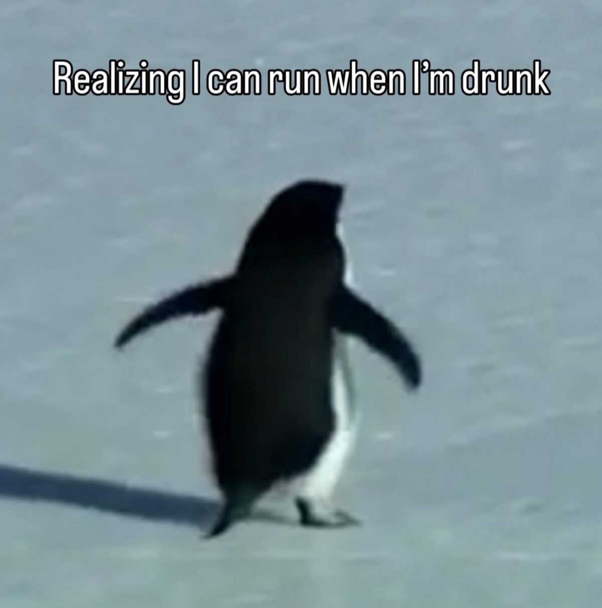 20 Memes for People Who Keep Saying "It Is What It Is" 16 Realising i can run
