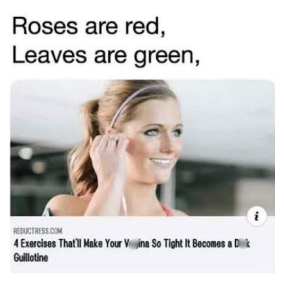 20 Memes That Have Never Heard the Word "Appropriate" 19 Roses are red