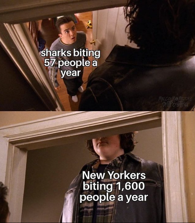 20 Memes With the Energy of a Shopping Cart on Ice 17 Sharks biting