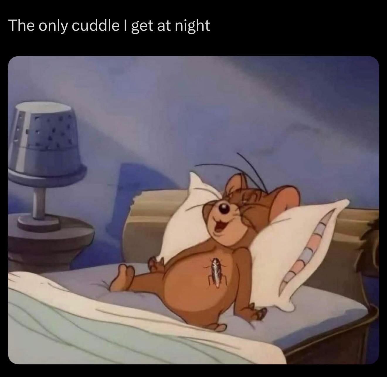 20 Memes That Will Judge You Silently While You Laugh 19 The only cuddle AI get