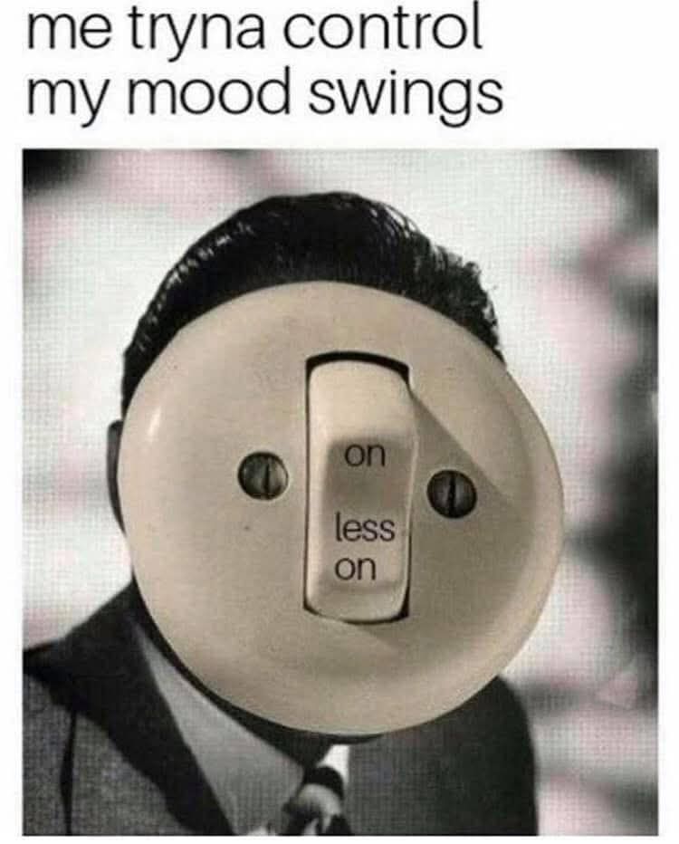20 Memes That Feel Like Getting Audited by Reality 15 Tryna control mood swings