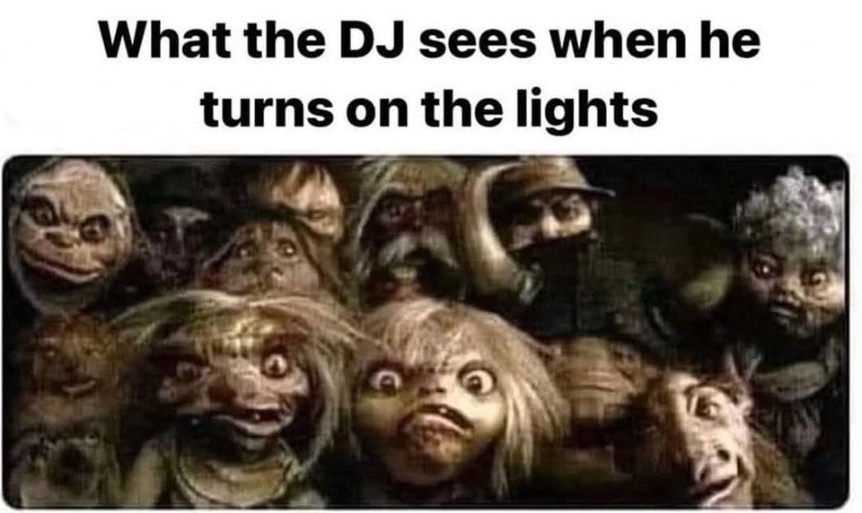 20 Memes That Feel Like Getting Audited by Reality 16 What the DJ sees