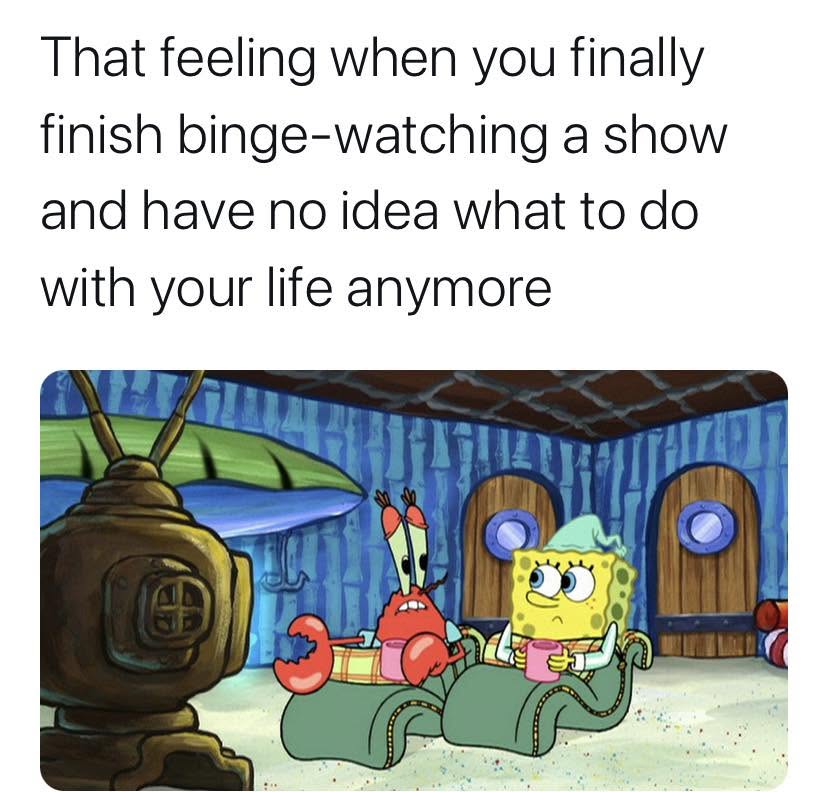 22 Freakishly Relatable Memes That Feel Like Evidence in a Court Case 21 When you finish a show
