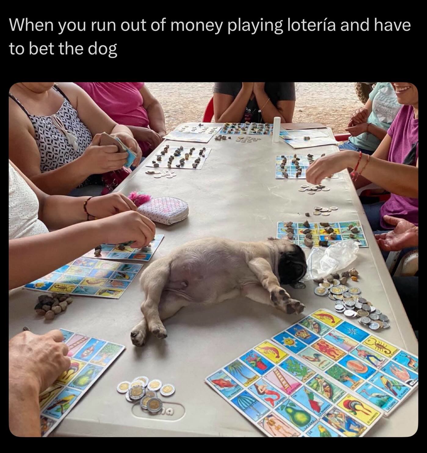 20 Memes That Will Judge You Silently While You Laugh 21 When you run out of money