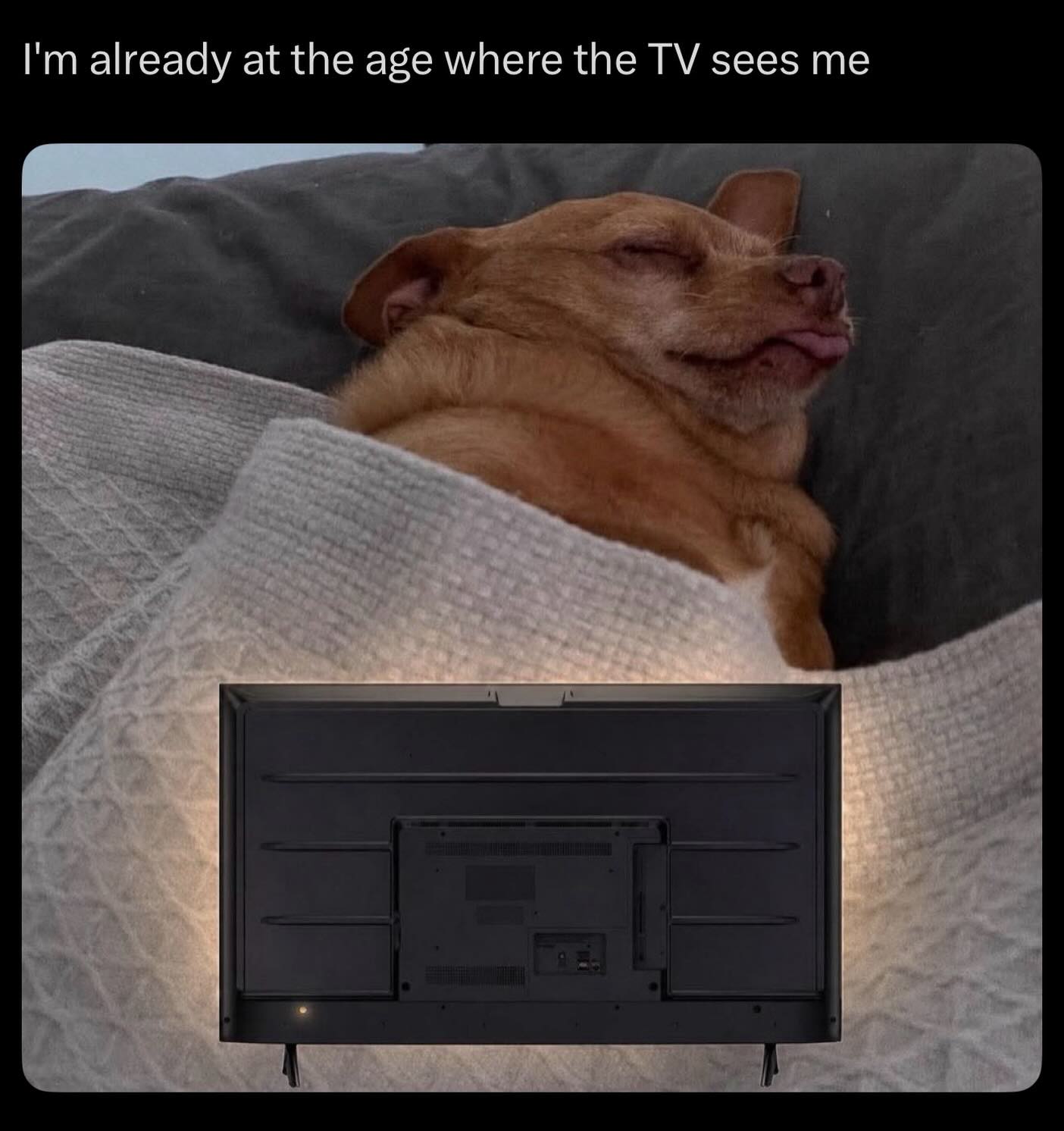 20 Memes That Will Judge You Silently While You Laugh 22 Where the TV sees me