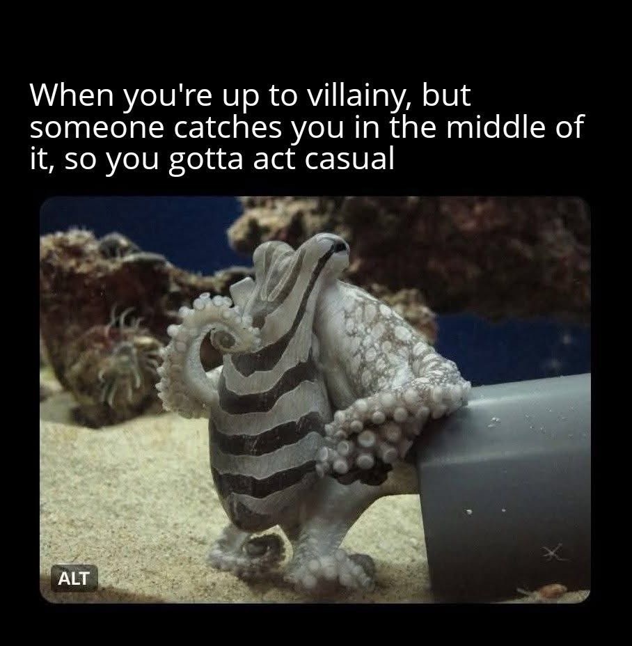 act casual