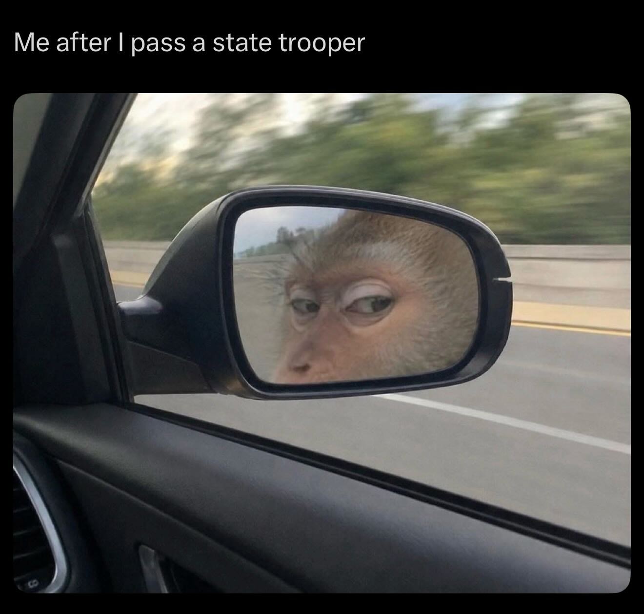 20 Memes That Will Judge You Silently While You Laugh 4 after I pass a state trooper