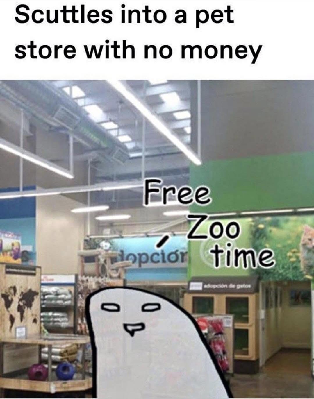 20 Memes That Are Stupid Enough to Cure Sadness 9 free zoo time