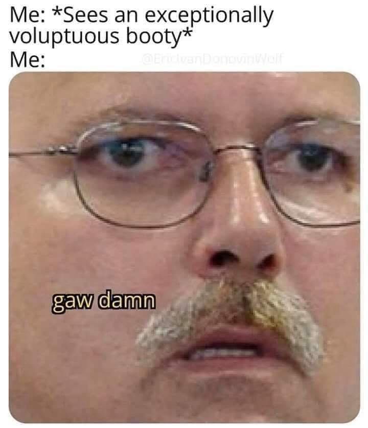 20 Memes That Have Never Heard the Word "Appropriate" 4 gaw damn
