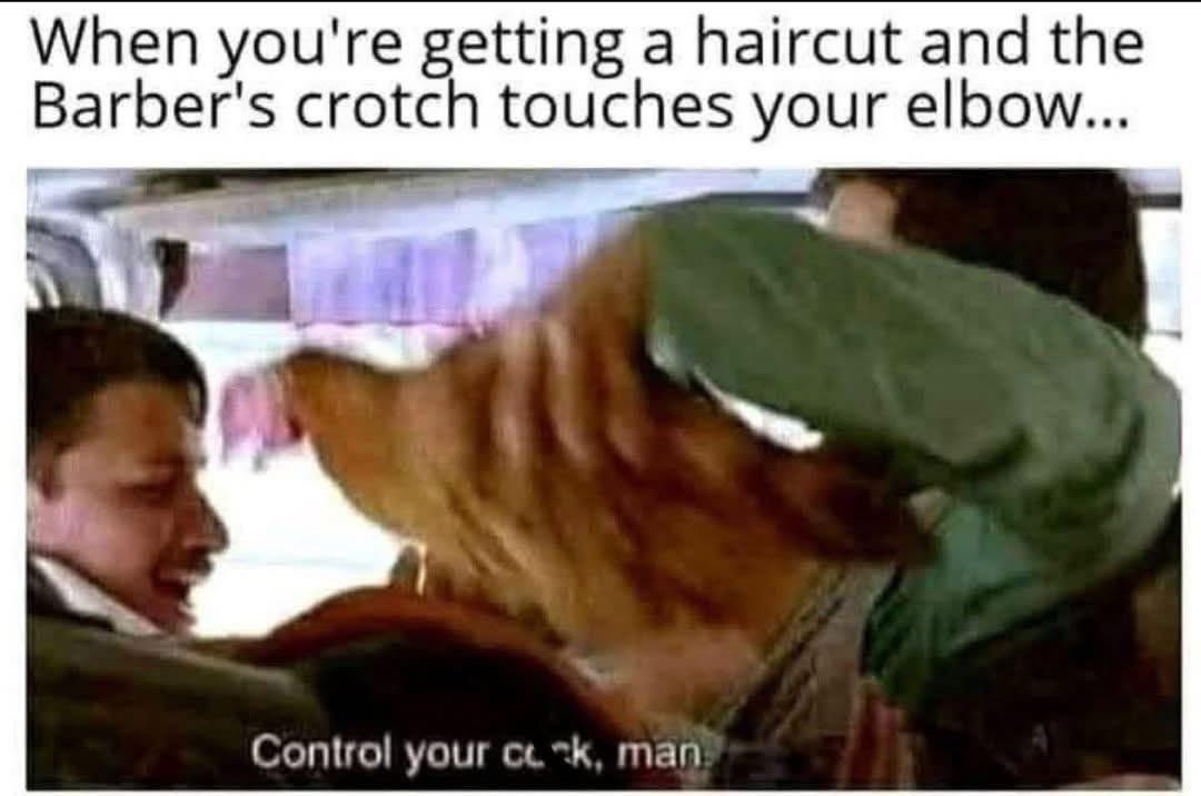 20 Memes That Have Never Heard the Word "Appropriate" 5 getting a haircut