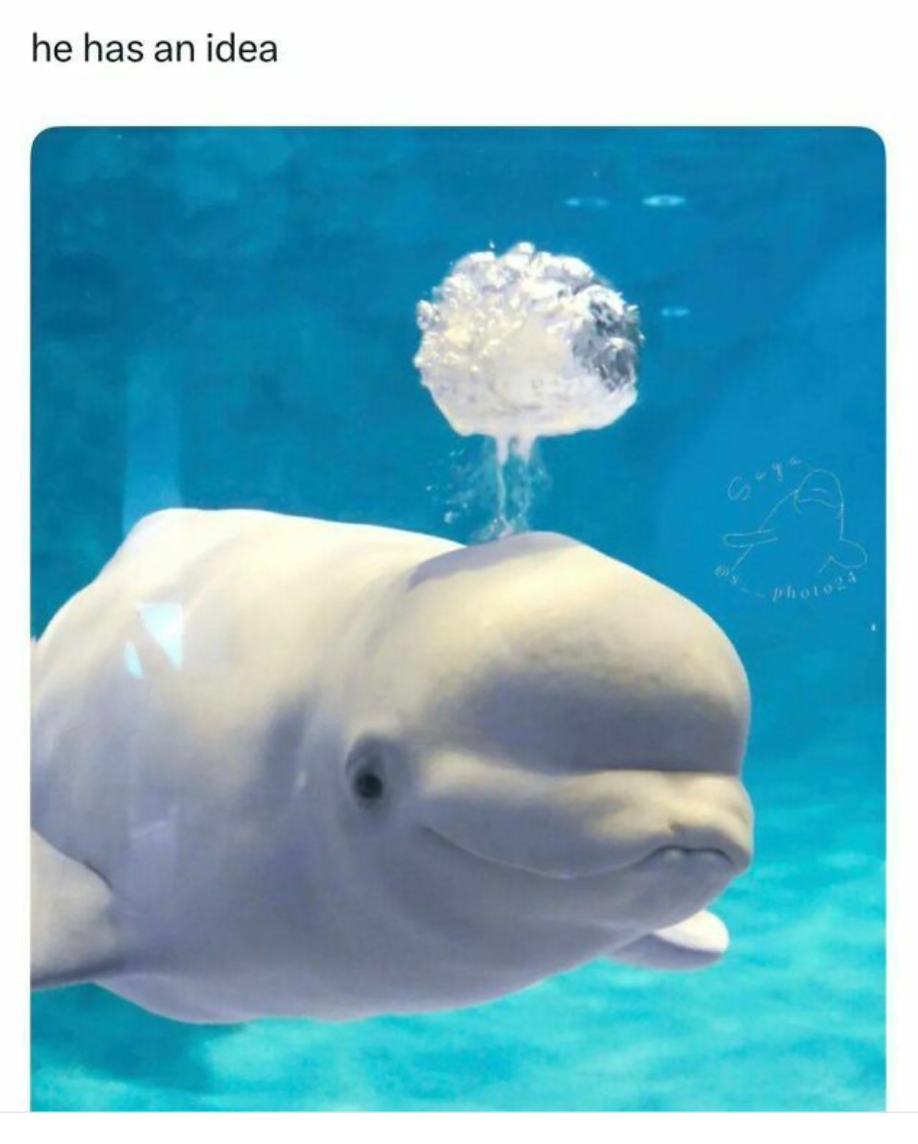 20 Memes With the Energy of a Shopping Cart on Ice 8 he has an idea