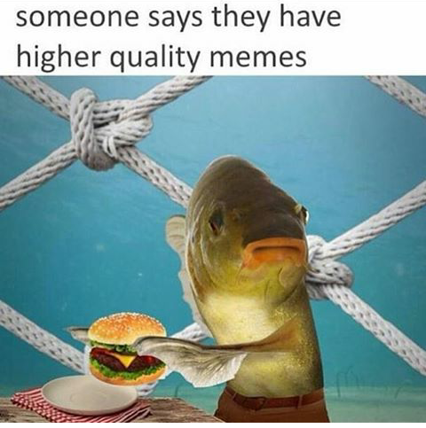 20 Memes That Are Basically Memes About Having a Meme Addiction 10 higher quality memes