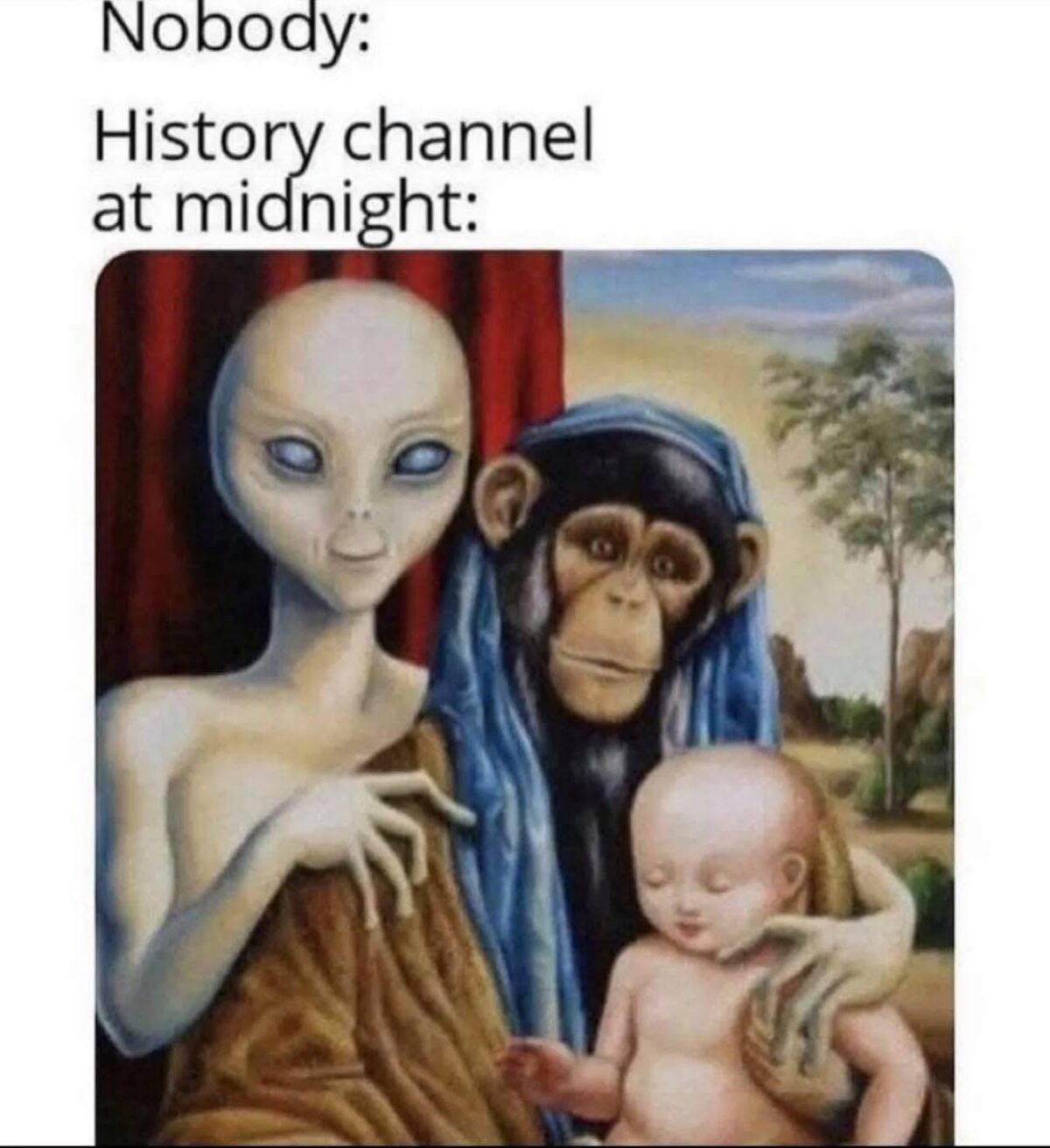 20 Memes That Are Stupid Enough to Cure Sadness 11 history chanel midnight