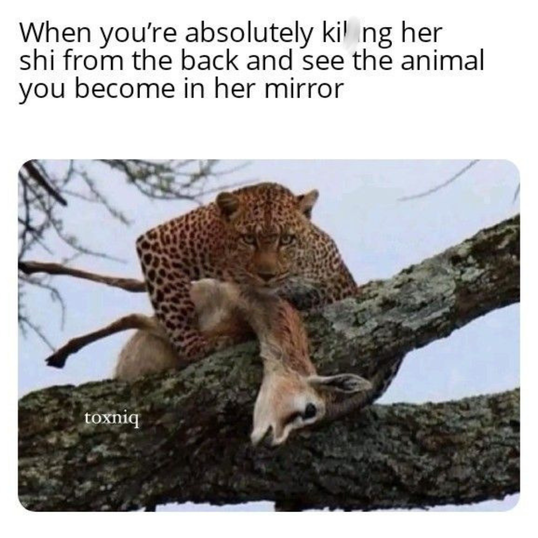 20 Memes for People Who Treat Bad Decisions Like Side Quests 6 look in the mirror