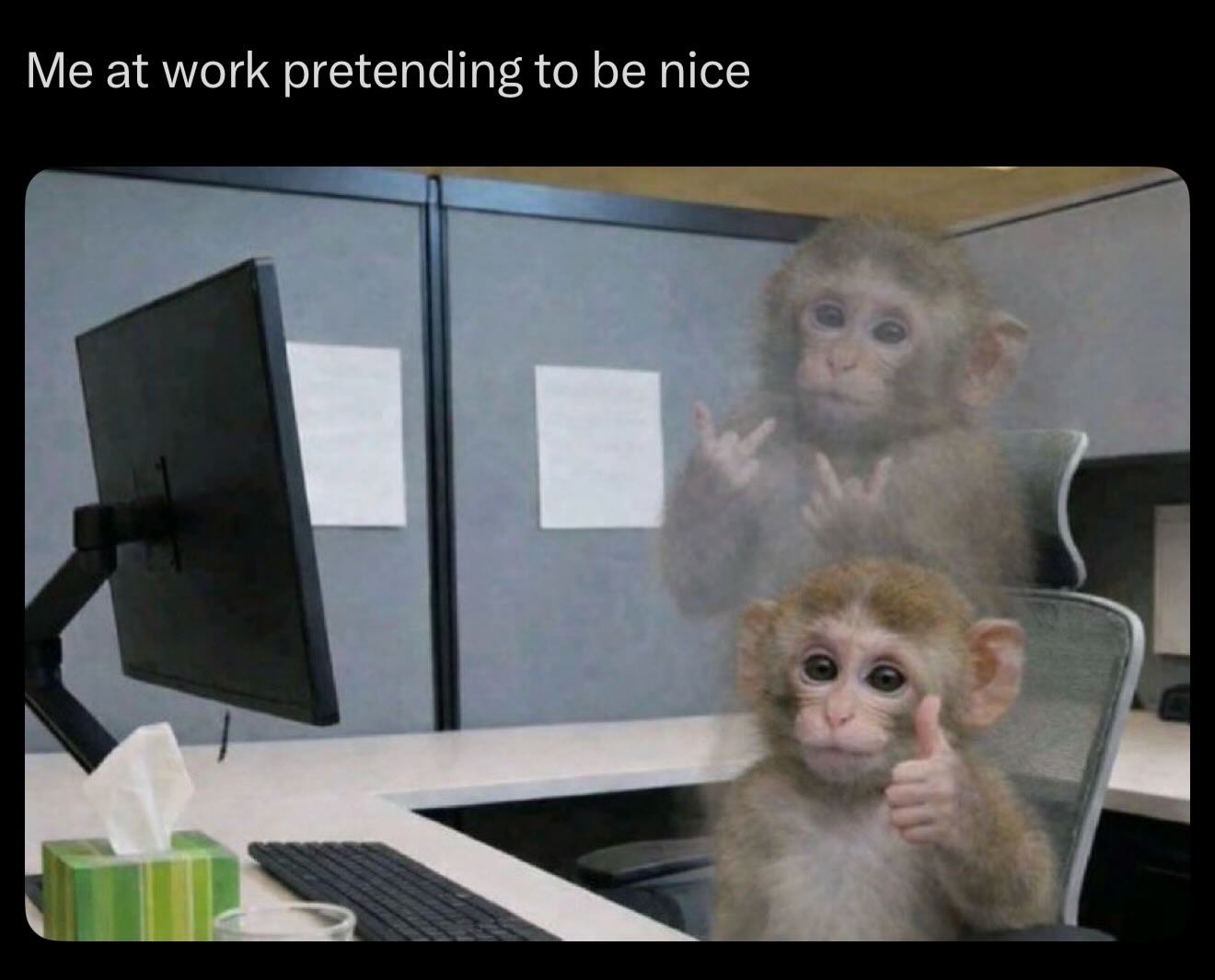 20 Memes That Will Judge You Silently While You Laugh 13 me at work pretending