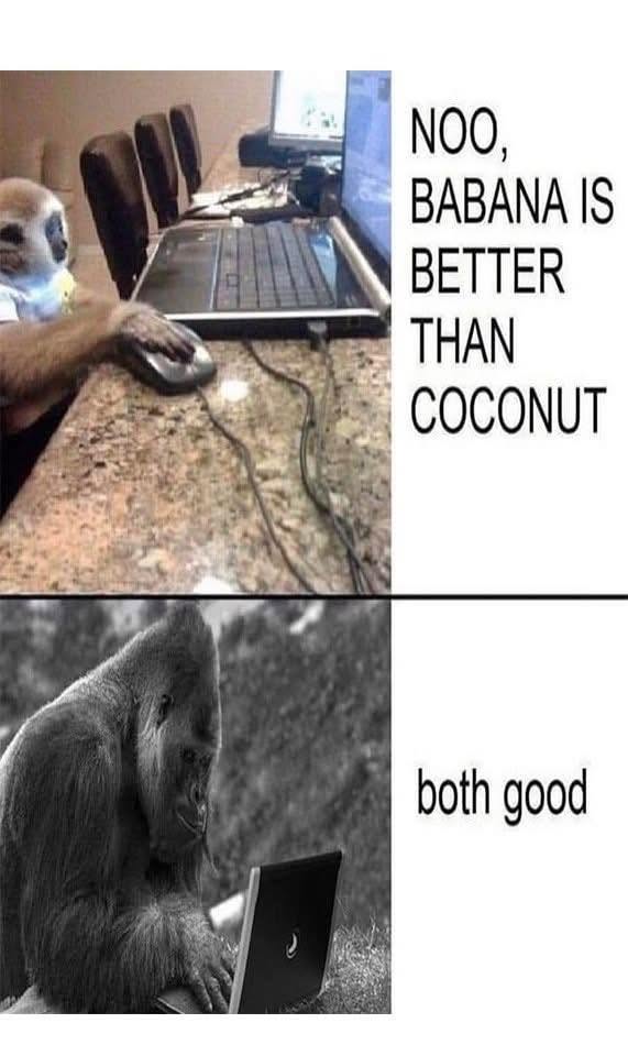 20 Memes That Are Stupid Enough to Cure Sadness 14 no babana