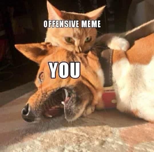 20 Memes That Are Basically Memes About Having a Meme Addiction 20 offensive meme vs you