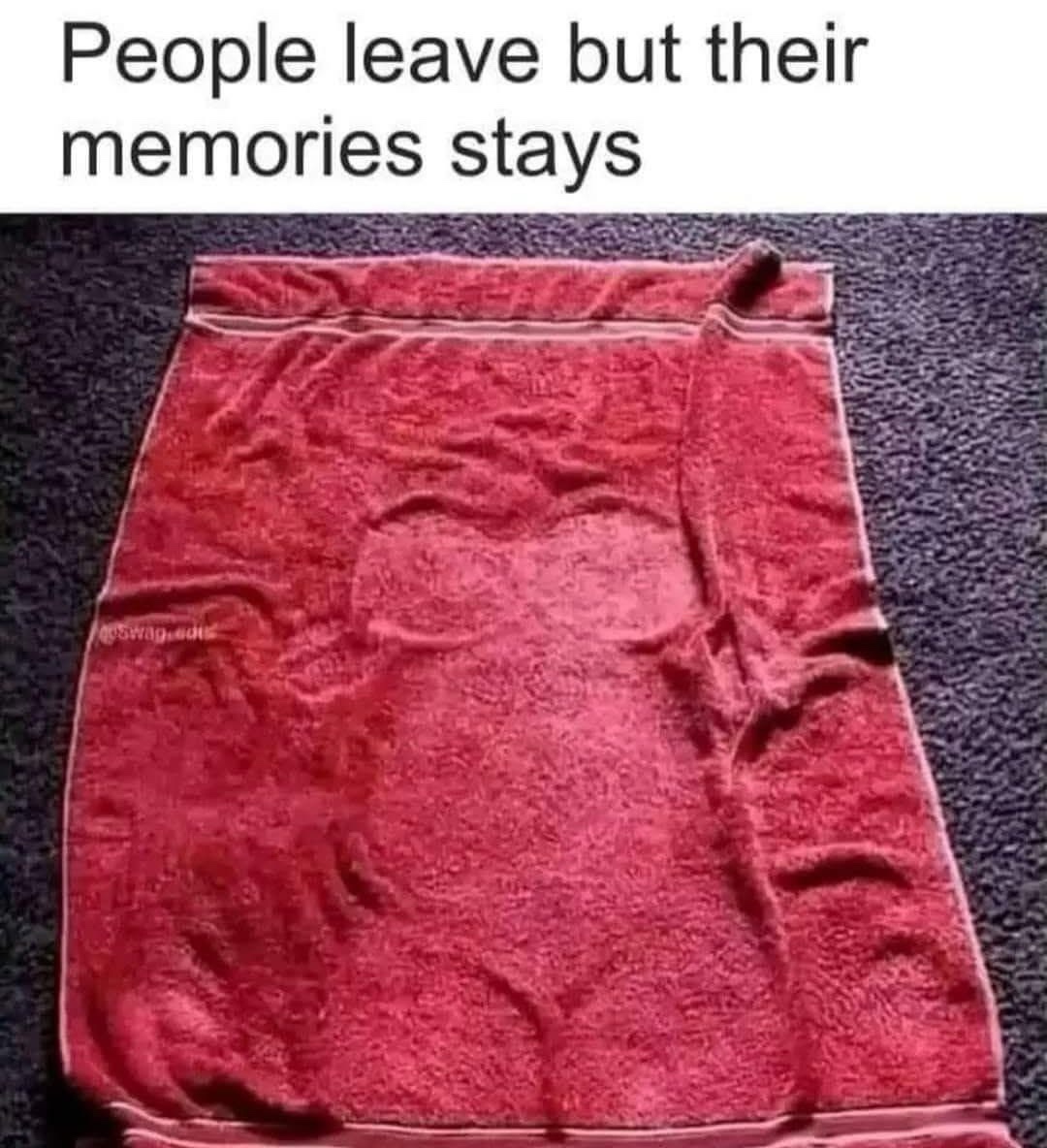 20 Memes That Have Never Heard the Word "Appropriate" 7 people leave their memories