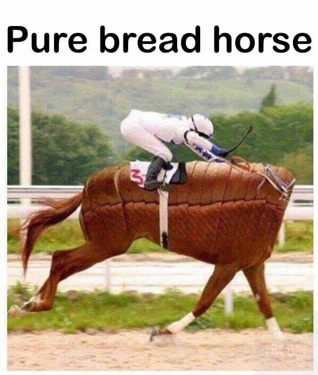 20 Memes That Were Dropped from a Helicopter into Your Brain 13 pure bread