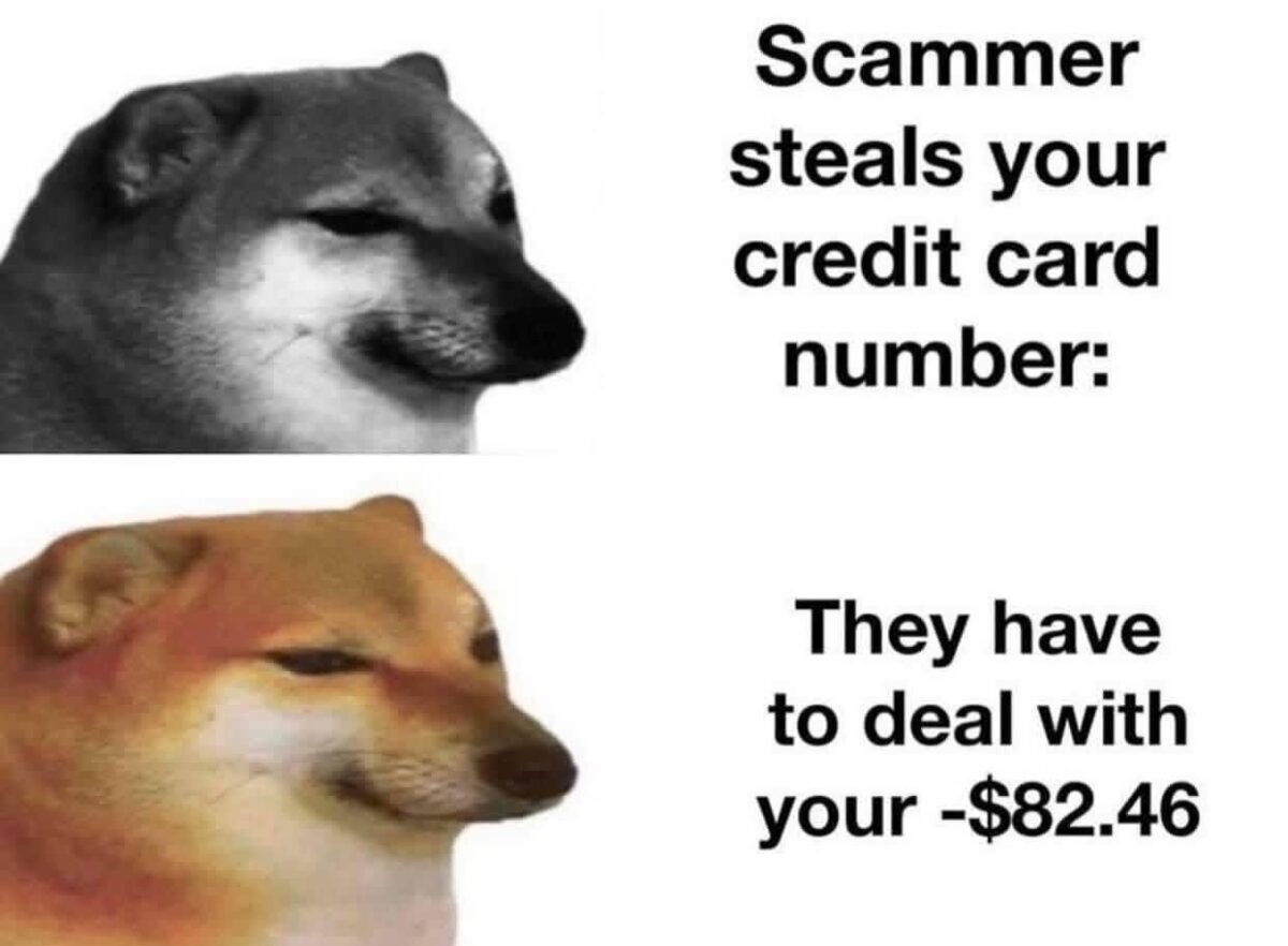 20 Memes That Are Stupid Enough to Cure Sadness 15 scammer steal your credit card