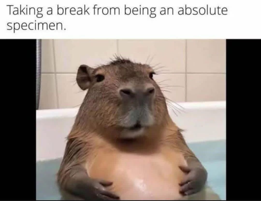 20 Memes for People Who Keep Saying "It Is What It Is" 19 taking a break
