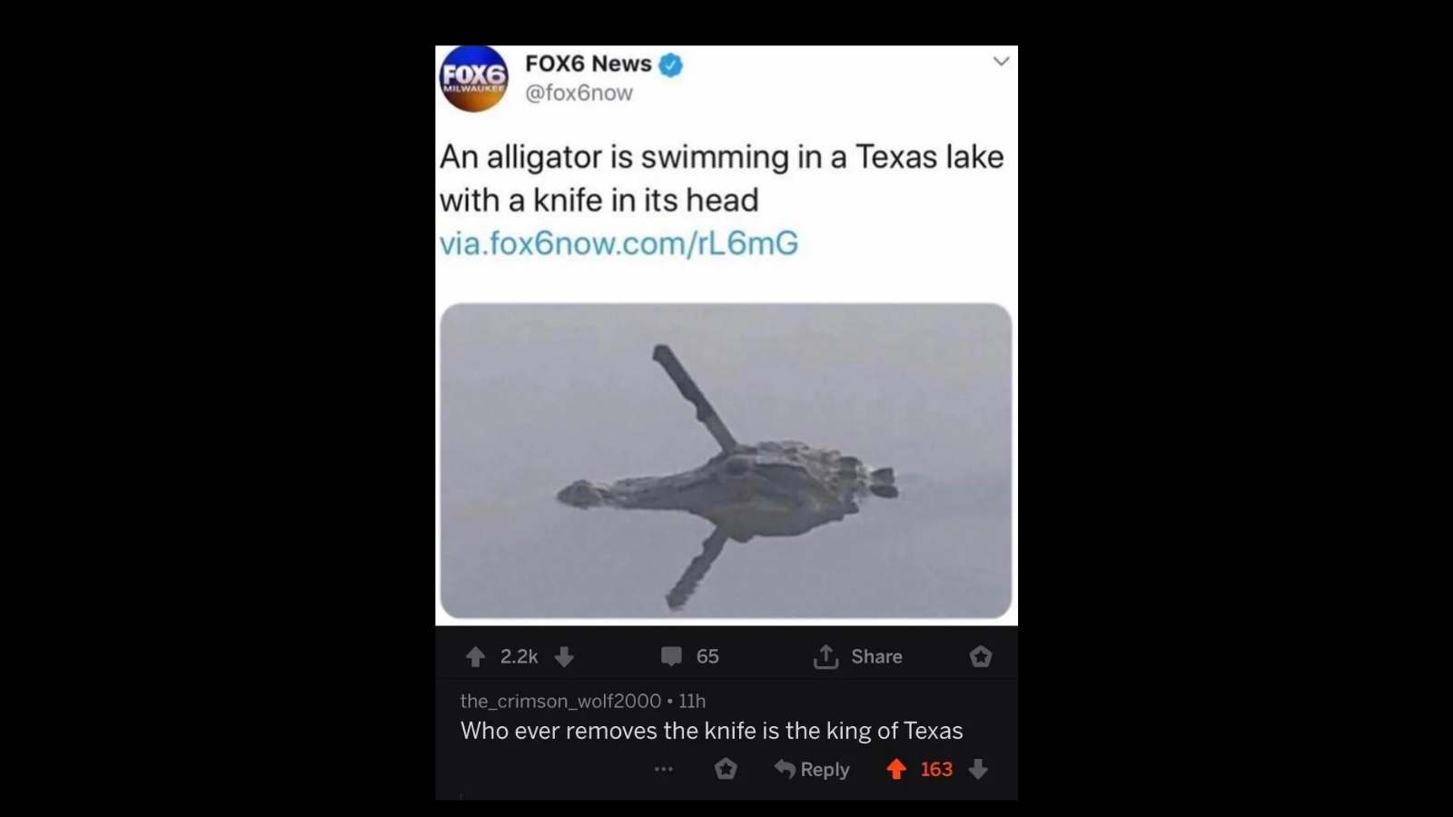 20 Comments So Funny They Became The Main Character FG