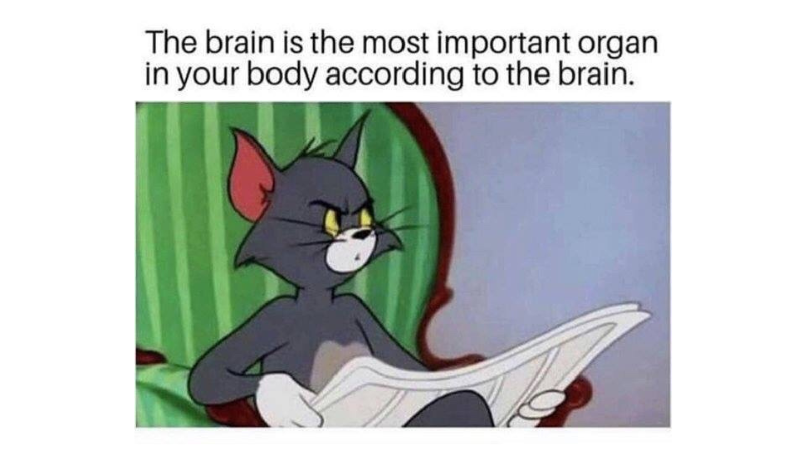 Brain Memes Worth Thinking About This World Brain Day FG